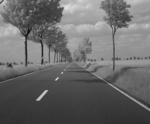 Avenue sequence: still picture of the input sequence